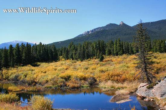 Click Picture to send as an  E-PostCard 59k 550x367